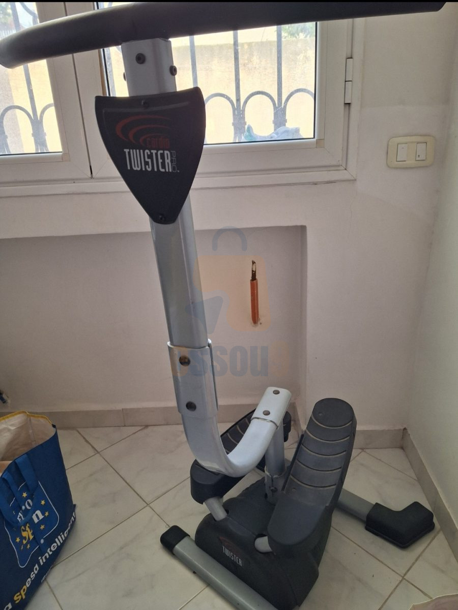 Stepper Cardio Twister