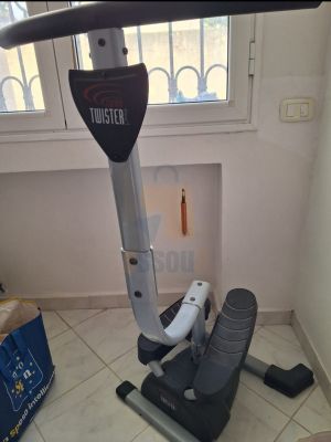 Stepper Cardio Twister