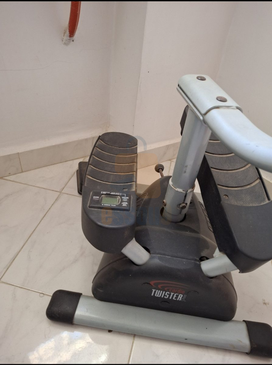 Stepper Cardio Twister